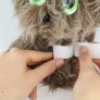 Pelúcia Infantil com Acessórios - Adota Pets - Cachorrinho - Scott - Multikids