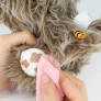 Pelúcia Infantil com Acessórios - Adota Pets - Cachorrinho - Scott - Multikids