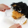 Pelúcia Adota Pets com Acessórios - Cachorro Yorkie Coockie - Multikids