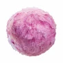Pelúcia Surpresa - Little Live Pets - Scruff a Luvs - Adotados - Fun Divirta-se