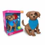 Pet da Barbie - Brincadeiras de Pet - Cachorrinho Rookie - Pupee