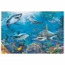 Quebra-Cabeça - Puzzle - 150 Peças - Tubarões - Grow