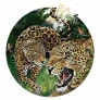 Quebra-Cabeça Redondo 500 Peças - Natureza Esplêndida - Onça Pintada - Pais e Filhos