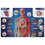 Quebra-Cabeça - 200 Peças - Corpo Humano - Grow