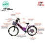 Bicicleta Elétrica - Street PAM - Cestinha - 800w 48v Lithium - Roxa - Plug and Move