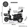 Triciclo Elétrico - Smart PAM - 800w Lithium - Preto - Plug and Move