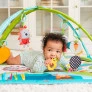 Tapete e Ginásio de Atividades - Meadow Days - Sunny Day - Tiny Love