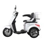 Triciclo Elétrico - Duos Eko-10 1000w - Prata - Duos Bikes