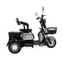 Triciclo Elétrico - Smart PAM - 800w 48v - Cinza - Plug and Move