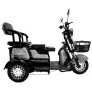 Triciclo Elétrico - Smart PAM - 800w 48v - Cinza - Plug and Move