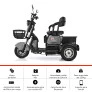 Triciclo Elétrico - Smart PAM 800w 48v - Cinza - Plug and Move