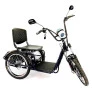 Triciclo Elétrico - Village PAM - 800w - Preto - Plug and Move
