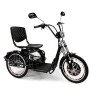 Triciclo Elétrico - Village PAM - 800w - Preto - Plug and Move