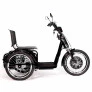 Triciclo Elétrico - Village PAM - 800w - Preto - Plug and Move
