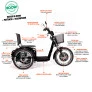 Triciclo Elétrico - Village PAM - Cesta - 800w Lithium - Preto - Plug and Move (1)