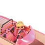 Veículo e Boneca - LOL Surprise - Car Pool Coupe - Candide
